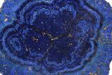 Vivid Blue, Cut/Polished Azurite Nodule Slice - Siberia #209487-1